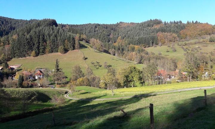 Landgasthaus Ponyhof